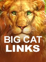 Red Stage Casino big cat links